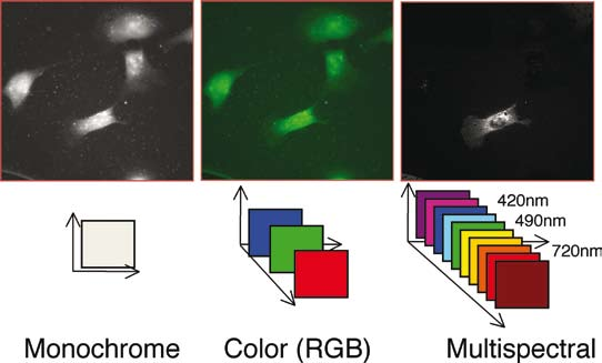 Multispectral